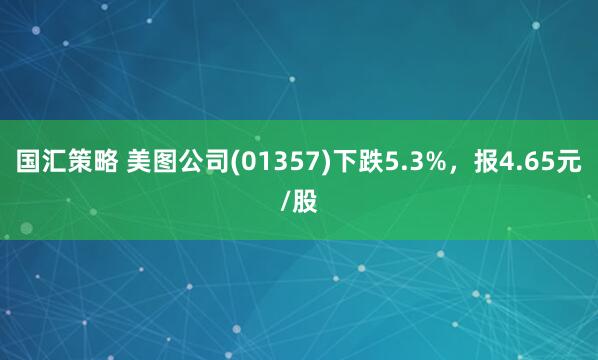 国汇策略 美图公司(01357)下跌5.3%，报4.65元/股
