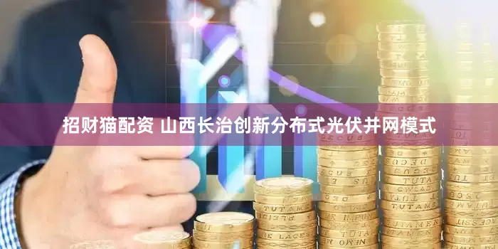 招财猫配资 山西长治创新分布式光伏并网模式