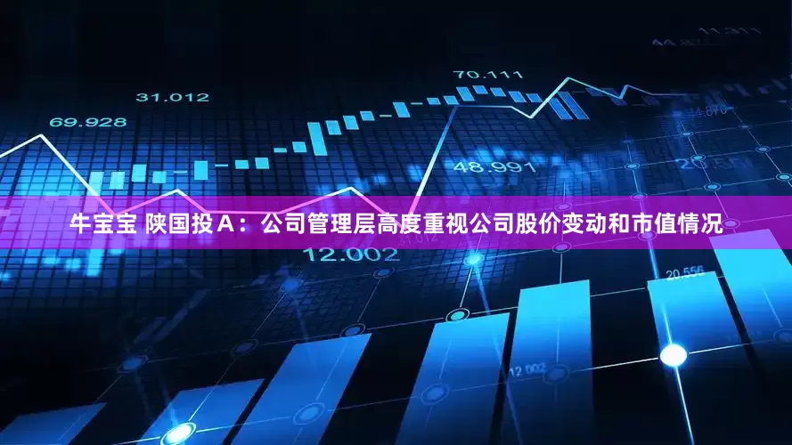 牛宝宝 陕国投Ａ：公司管理层高度重视公司股价变动和市值情况