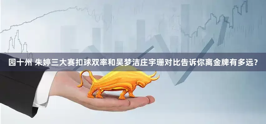 园十州 朱婷三大赛扣球双率和吴梦洁庄宇珊对比告诉你离金牌有多远？