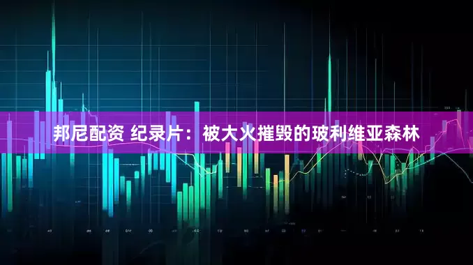 邦尼配资 纪录片：被大火摧毁的玻利维亚森林