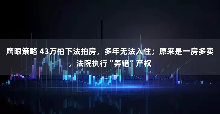 鹰眼策略 43万拍下法拍房，多年无法入住；原来是一房多卖，法院执行“弄错”产权
