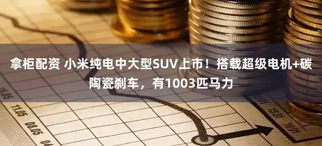 拿柜配资 小米纯电中大型SUV上市！搭载超级电机+碳陶瓷刹车，有1003匹马力